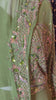 Zarmina Green Lehanga